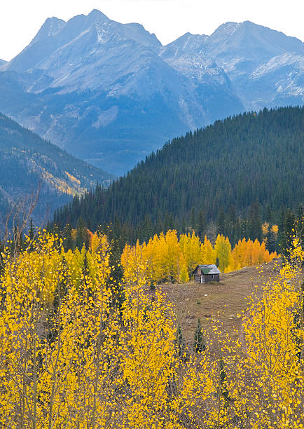 Isolated Mountain Cabin stock photo