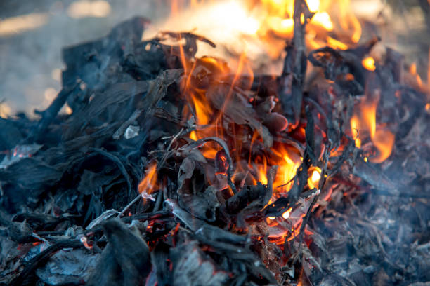 istock Embers And Glowing embers. Glowing coal in the Ash 917664376