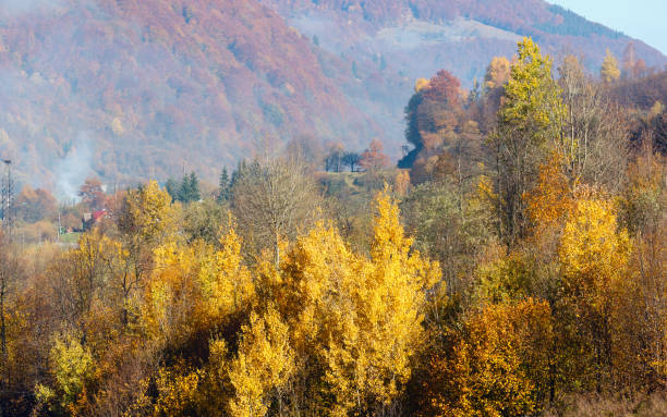 Autumn Carpathian mountains, Ukraine
