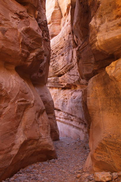 istock Rock formation at White Dome Loop in Valley of Fire State Park 917665090