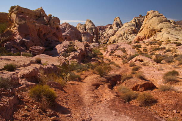 istock Rock formation at White Dome Loop in Valley of Fire State Park 917665460