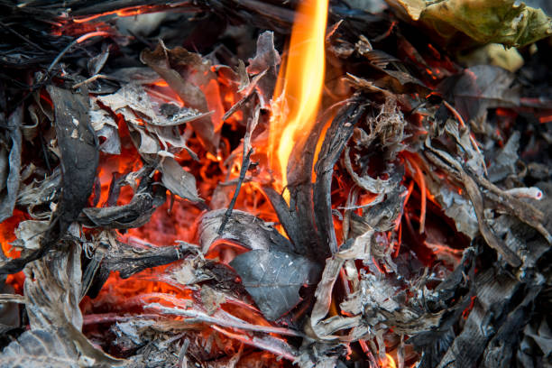 istock Embers And Glowing embers. Glowing coal in the Ash 917667724