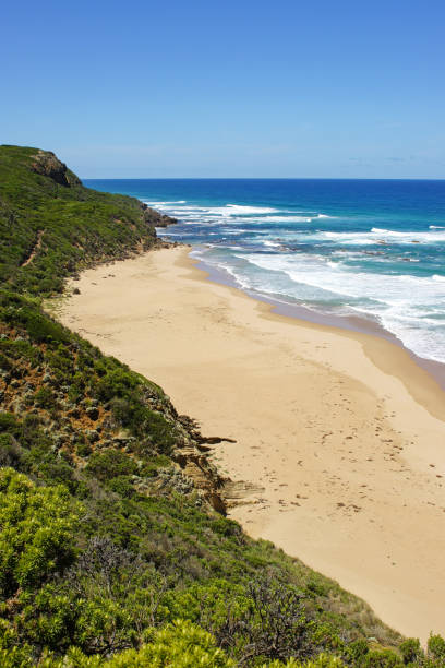 istock Cape Otway National Park, Australia 917668840