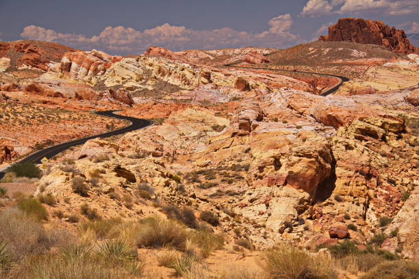 istock Road through Valley of Fire State Park 917669342
