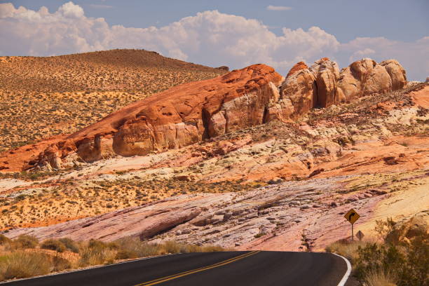 istock Lazy Lizard in Valley of Fire State Park 917669888