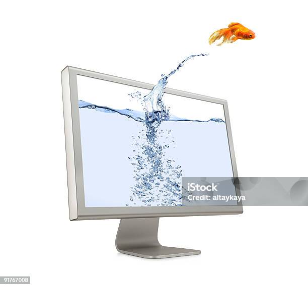 Goldfischjumpingout Stockfoto und mehr Bilder von Goldfisch - Goldfisch, Hochspringen, Weißer Hintergrund