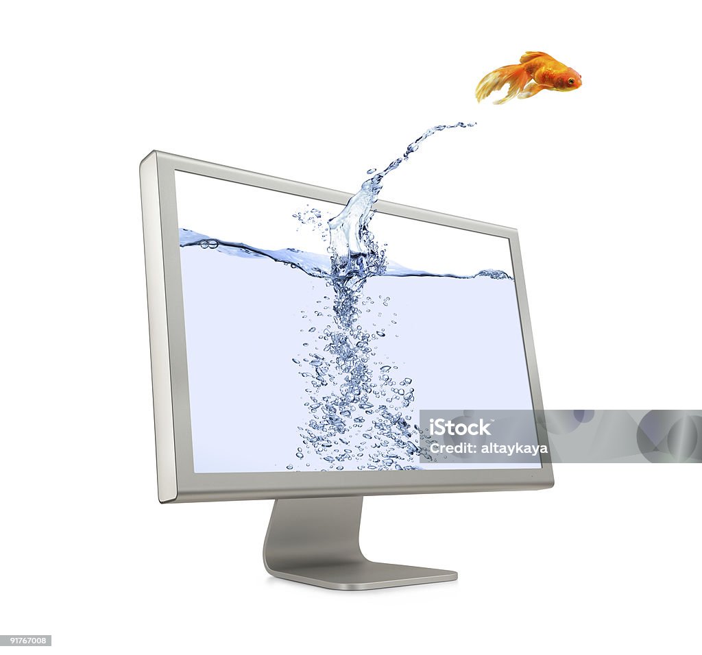 Poisson rouge sautant sur écran - Photo de Fond blanc libre de droits
