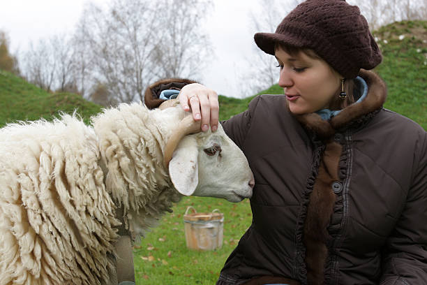 istock Girl speaks with sheep 91767267