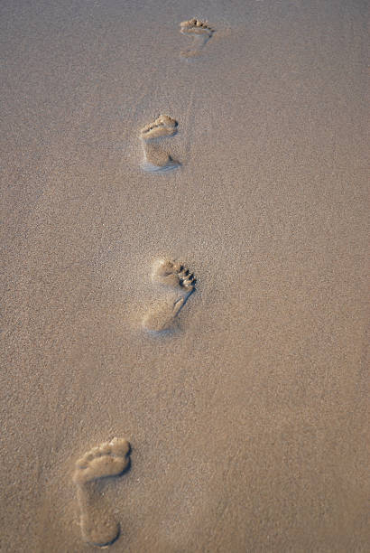 Walking in the sand stock photo