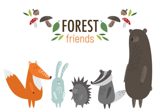 Forest Animals Stock Illustration - Download Image Now - Animal, Woodland,  Fox - iStock
