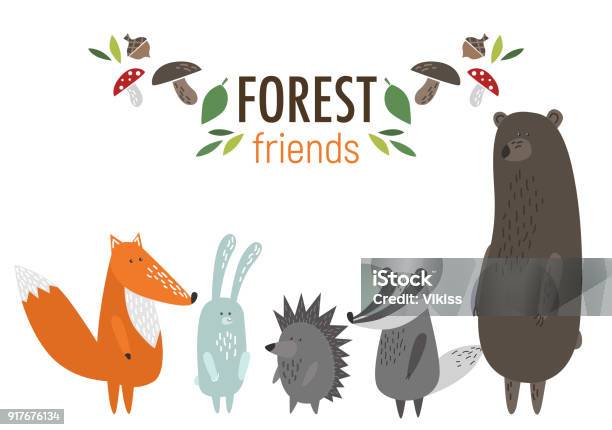 Forest Animals Stock Illustration - Download Image Now - Animal, Forest, Woodland