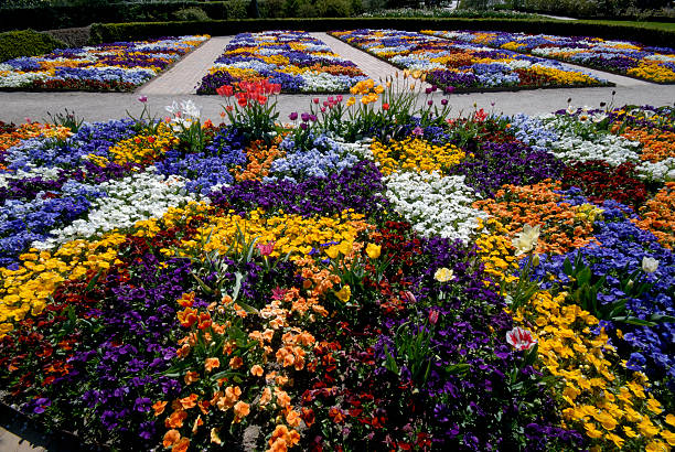 istock Flowers all over in the garden 91768116