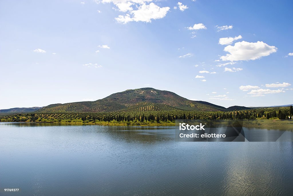 Lake in Andalusien mit olive tree hill - Lizenzfrei Andalusien Stock-Foto