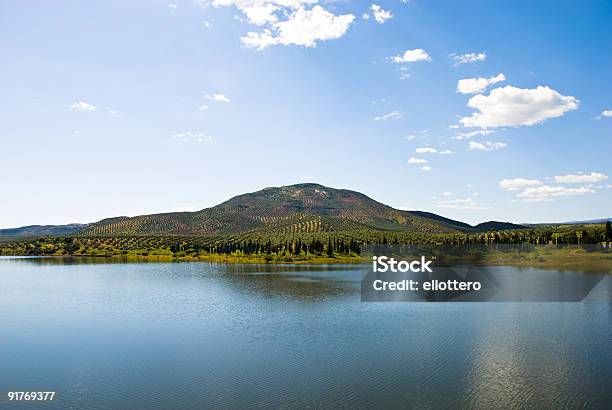 Lake In Andalusien Mit Olive Tree Hill Stockfoto und mehr Bilder von Andalusien - Andalusien, Baum, Berg