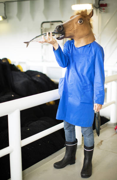 istock Horse head fisherman with fresh fish 917695598