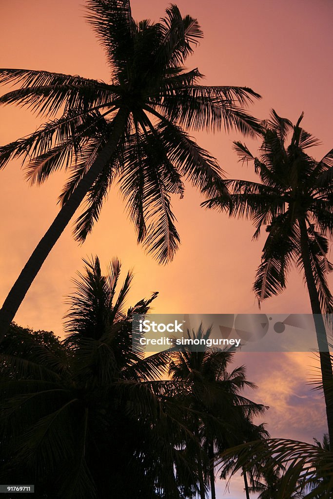 Pôr do sol Praia céu laranja palmas das Filipinas - Royalty-free Palmeira Foto de stock