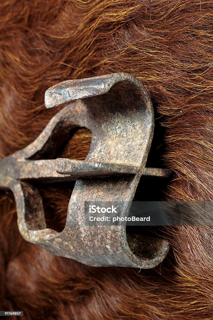 Żelazo do wypalania znaków na krowa włosy - Zbiór zdjęć royalty-free (Żelazo do wypalania znaków)