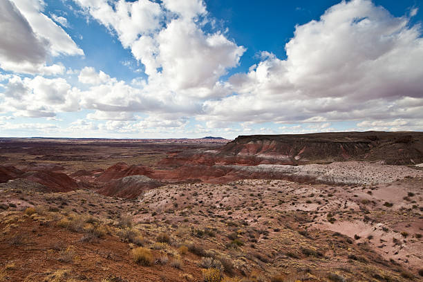 istock Painted Desert New Mexico 91770349