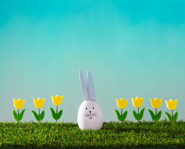 istock seeriful  rabbit with tulips on the green grass and turquoise background 917704814