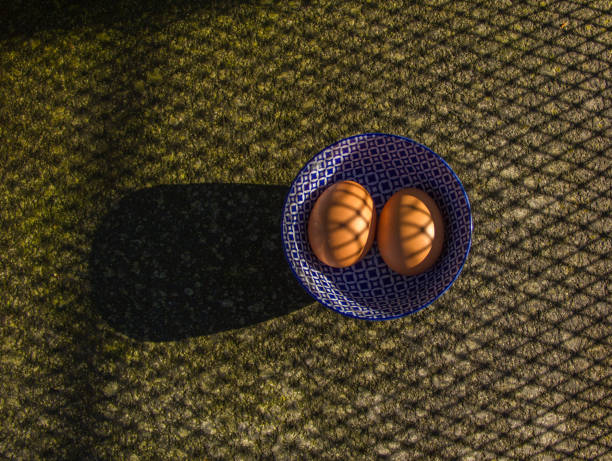 Two fresh eggs in a pattern shadow.