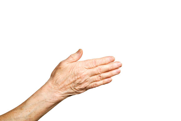 istock Senior female gesture language, hands signs isolated on solid white background. Old female in her seventies / eighties showing arms forearms. 917705020