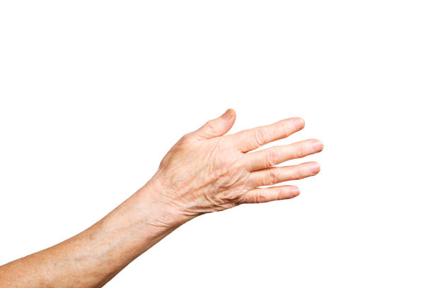 Senior female gesture language, hands signs isolated on solid white background. Old female in her seventies / eighties showing arms forearms. Elderly woman, wrinkled hand palm w/ clearly visible veins reaching out forward. Old lady arms, freckles. Isolated white background, close up, overhead, copy space. old hands stock pictures, royalty-free photos & images