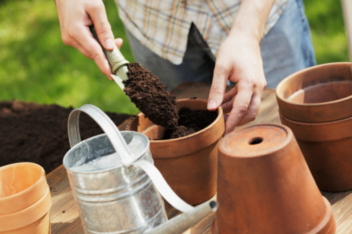 Cropped shot of an unrecognisable woman holding potting soil while gardening at home