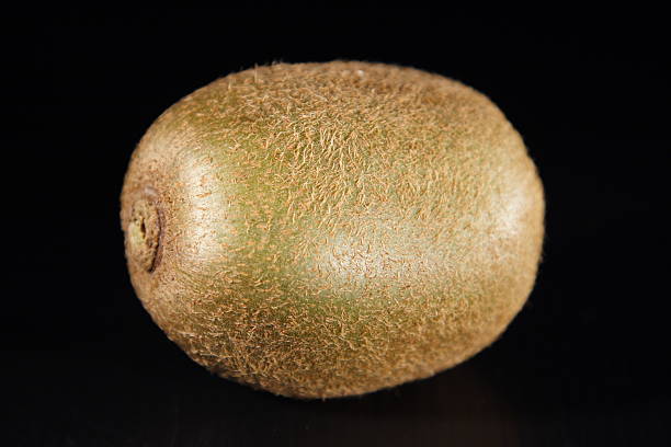 kiwi stock photo