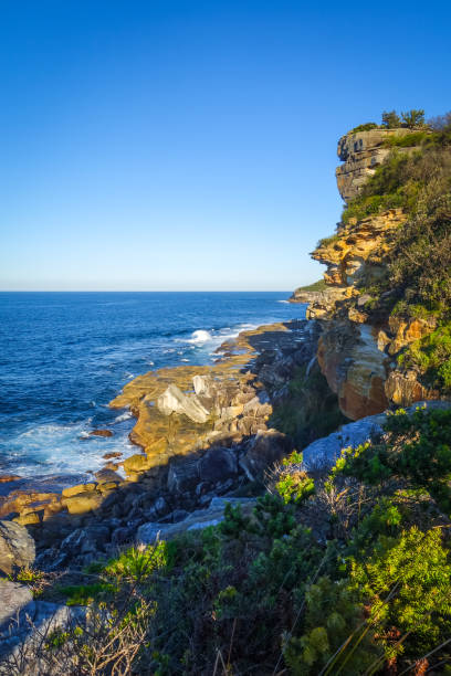 istock Manly Beach coastal cliffs, Sydney, Australia 917712224