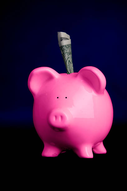 istock Piggy Bank 91771660