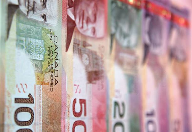 캐나다 통화표시가 - twenty dollar bill currency five dollar bill number 20 뉴스 사진 이미지
