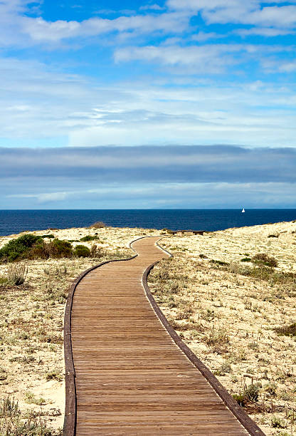 A well travelled Cape Cod pathway through the beach grass leads to the sandy beach and the blue ocean beyond