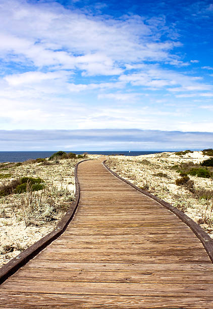 istock Boardwalk over sand dunes with blue sky and clouds 91772053