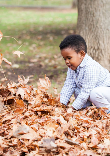 istock Beautiful boy digging in autumn leaves. 917722484