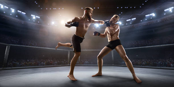 istock MMA fighters in professional boxing ring 917726894