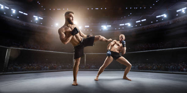 istock MMA fighters in professional boxing ring 917726896