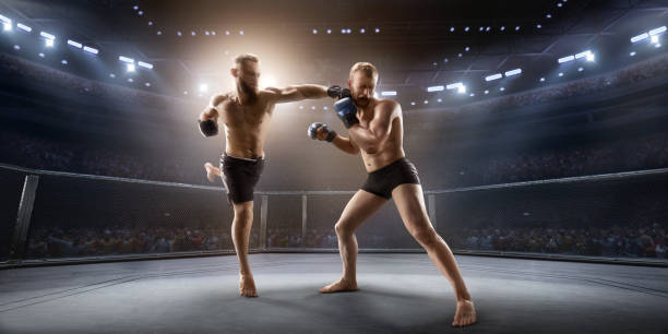 istock MMA fighters in professional boxing ring 917726904