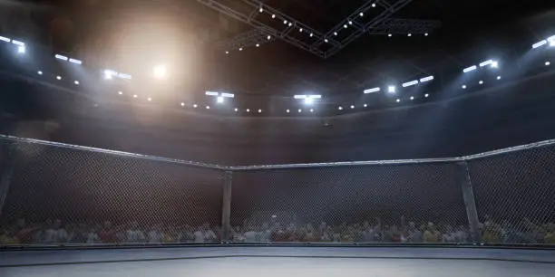 Professional boxing ring in 3D with tribune, fans and rays of light