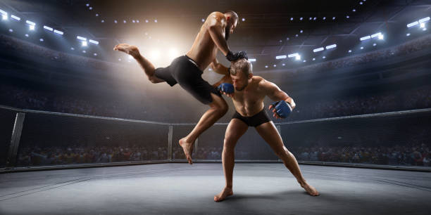 istock MMA fighters in professional boxing ring 917726916