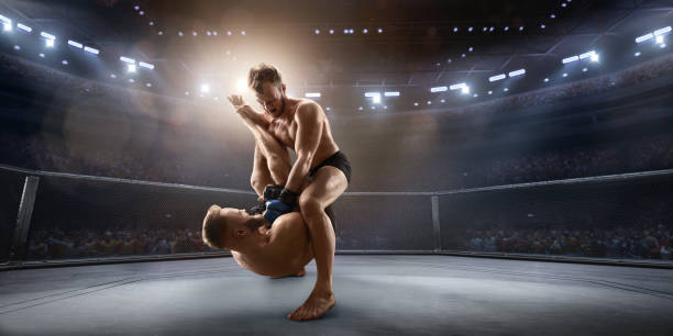 istock MMA fighters in professional boxing ring 917726924