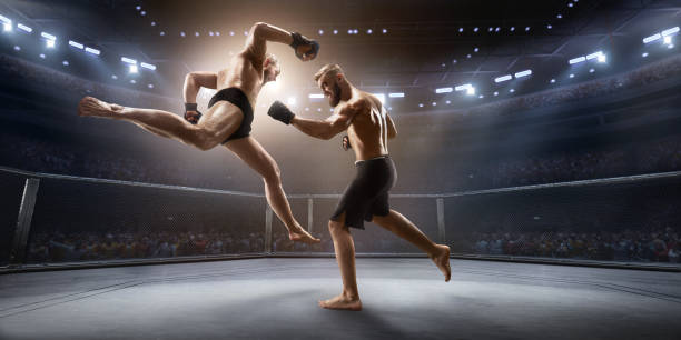 istock MMA fighters in professional boxing ring 917726930