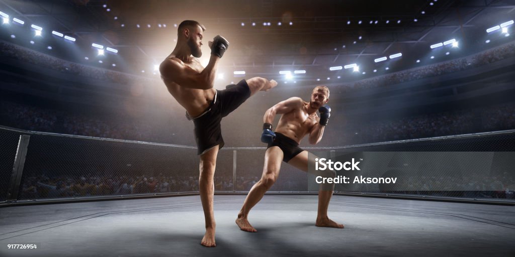 MMA fighters in professional boxing ring Muscular Mixed Martial Arts athletes fight in professional ring. Boxer attacks the opponent and strikes. Mixed Martial Arts Stock Photo MMA fighters in professional boxing ring Muscular Mixed Martial Arts athletes fight in professional ring. Boxer attacks the opponent and strikes. Mixed Martial Arts Stock Photo
