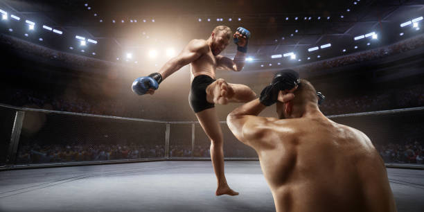 istock MMA fighters in professional boxing ring 917726964