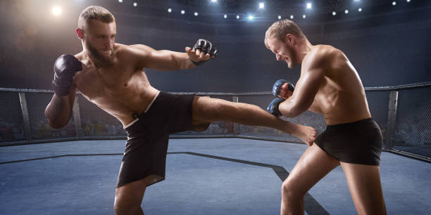 istock MMA fighters in professional boxing ring 917726968