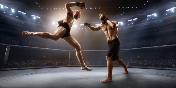istock MMA fighters in professional boxing ring 917727008
