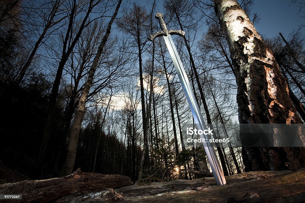 Sentinel del bosque - Foto de stock de Espada libre de derechos