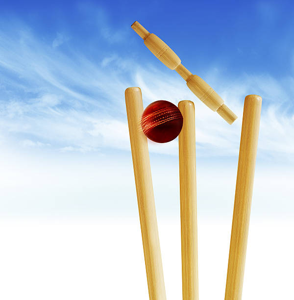 istock Illustration of crickets equipment against sky 91773338