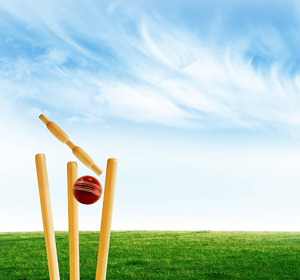 istock Cricket bats and a ball on a green field 91773342