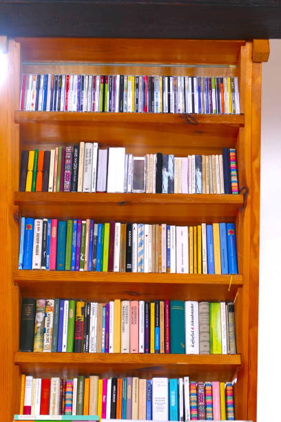 istock Brown book shelves full with books 917738154