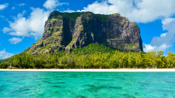istock Landscape with famous mountain Le Morne Brabant 917738366